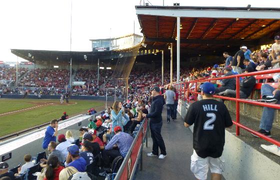 Nat Bailey Stadium Seating Chart