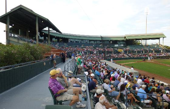 Myrtle Beach Pelicans Stadium Seating Chart